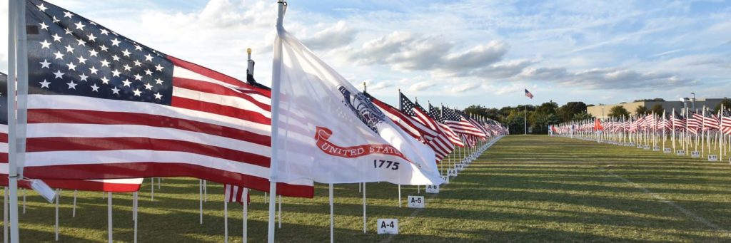 Row of Flags